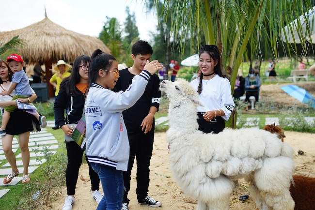 Khách du lịch chen nhau mua vé vào FLC Zoo Safari dịp 30/4 ảnh 8